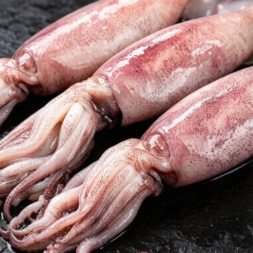 Fresh Whole Squid — view 2